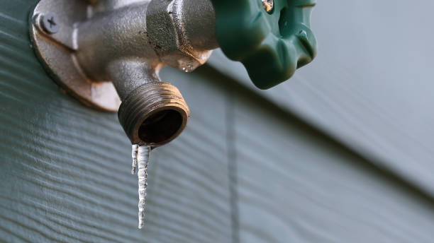 Best Plumbing Inspection Services  in Nicholson, MS